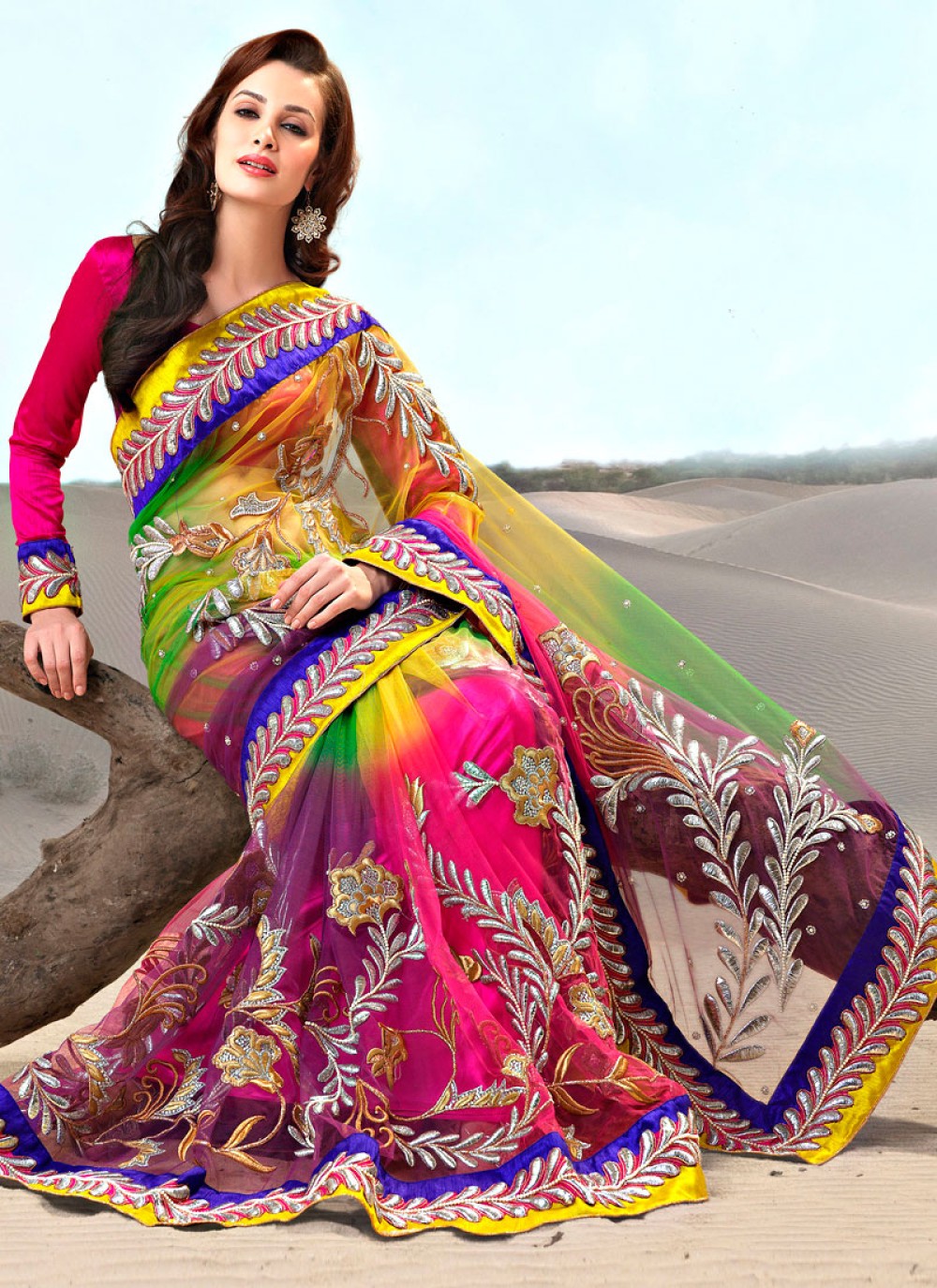 Multicolored Net Embroidered Saree