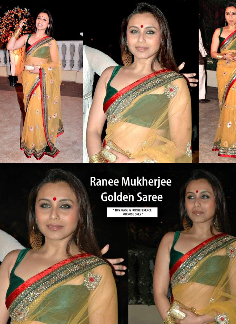 Rani Mukerji at Sonam Kapoor's Sangeet Function – Boutiquesarees.com