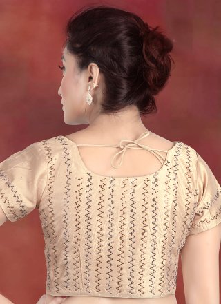Art Banarasi Silk Embroidered Designer Blouse in Beige