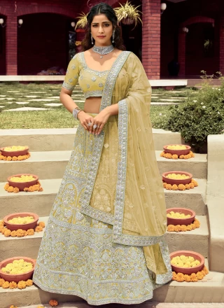 Patch Border Organza Lehenga Choli