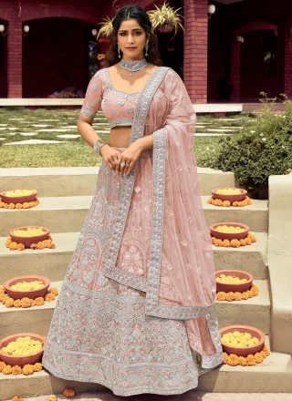 Patch Border Organza Lehenga Choli