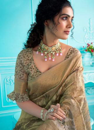 Digital Print Work Organza Classic Saree In Multi Colour