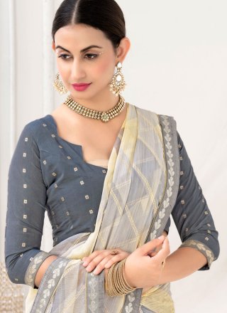 Dignified Grey Chiffon Classic Sari