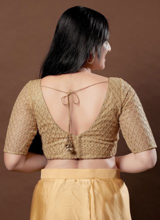 Gold Net Designer Blouse with