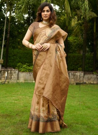 Beautiful Brown Satin Contemporary Sari
