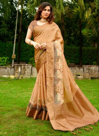 Beautiful Brown Satin Contemporary Sari