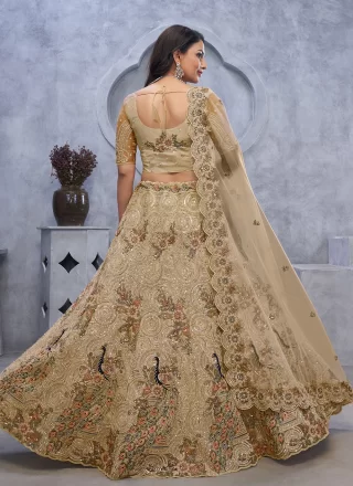Beige Net A - Line Lehenga Choli