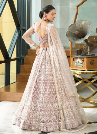 Beige Net Embroidered Work Lehenga Choli for Women