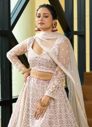 Beige Net Embroidered Work Lehenga Choli for Women