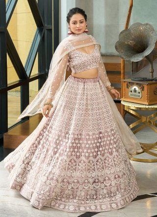 Beige Net Embroidered Work Lehenga Choli for Women
