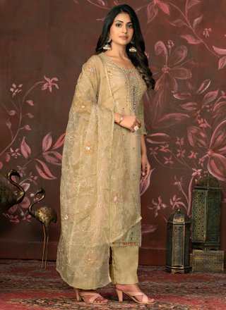 Beige Organza Hand and Woven Work Salwar Suit for Ceremonial