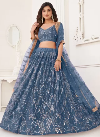 Blue Net Embroidered, Mirror, Sequins and Thread Work Lehenga Choli