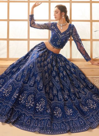 Blue Net Lehenga Choli with