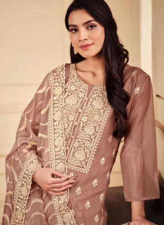 Brown Embroidered Work Organza Salwar Suit