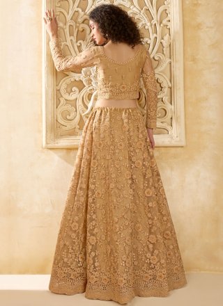 Brown Net Cord, Stone and Thread Work Lehenga Choli