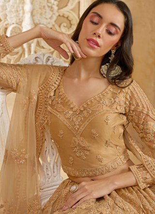 Brown Net Cord, Stone and Thread Work Lehenga Choli for Women