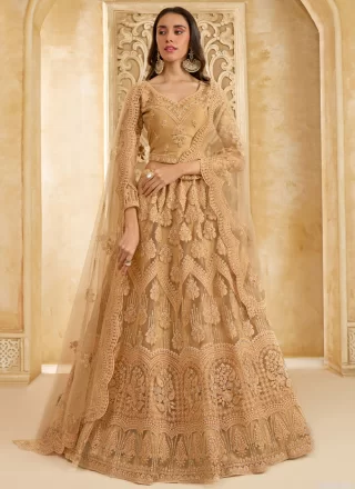 Brown Net Cord, Stone and Thread Work Lehenga Choli for Women