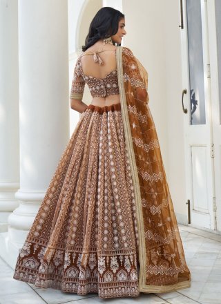 Brown Net Embroidered, Sequins and Thread Work Lehenga Choli for Women