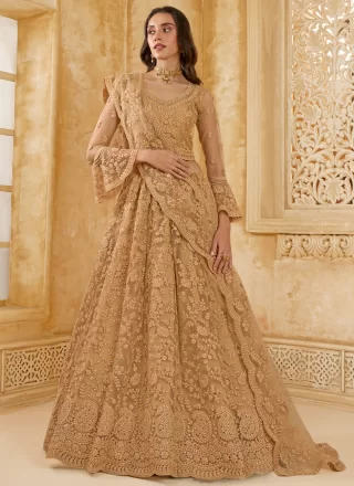 Brown Net Lehenga Choli with Cord, Stone and Thread Work for Women