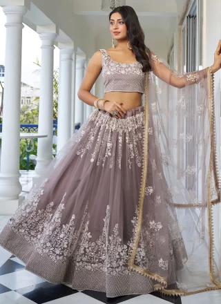 Ready To Ship Grey Vasundhara Pattu Lehenga Choli and Grey Vasundhara Pattu Chaniya Choli Online Shopping