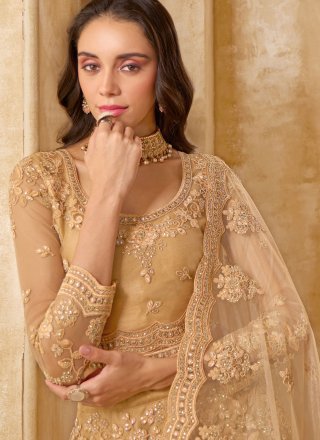 Net Lehenga Choli In Brown