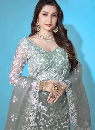 Net Lehenga Choli In Grey