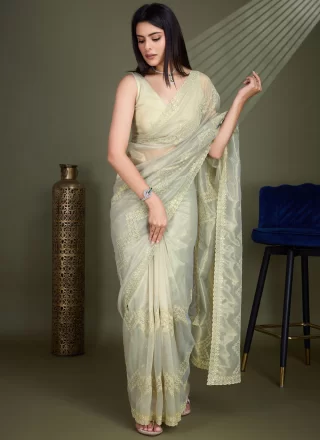 Off White Net Embroidered and Sequins Work Classic Saree for Casual