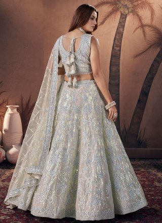 Off White Net Embroidered, Hand, Sequins and Thread Work Lehenga Choli