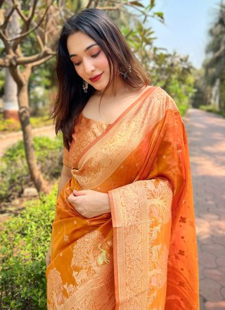 Orange Organza Classic Saree