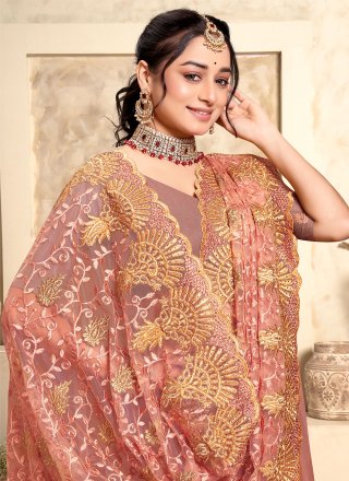 Peach Net Embroidered, Resham and Stone Work Trendy Saree for Ceremonial