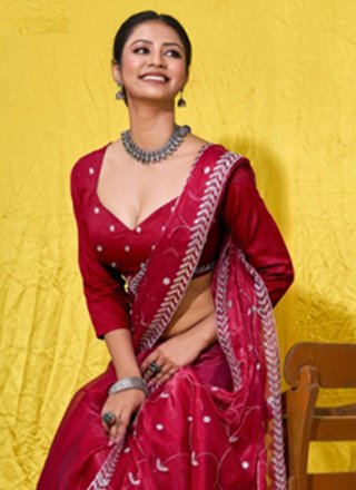 Red Net Classic Sari with Embroidered Work for Ceremonial