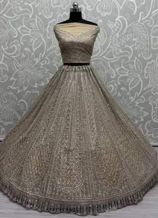 Beige and Gold Net Lehenga Choli