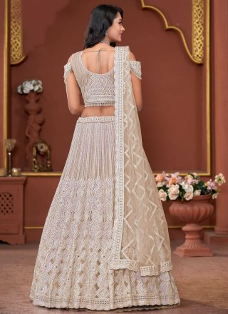 Beige Net Embroidered, Stone and Thread Work Lehenga Choli