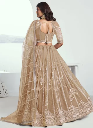 Beige Net Lehenga Choli with Embroidered, Lace, Sequins and Zari Work