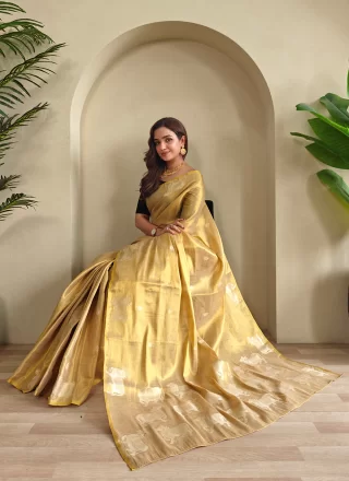 Beige Tissue Classic Saree