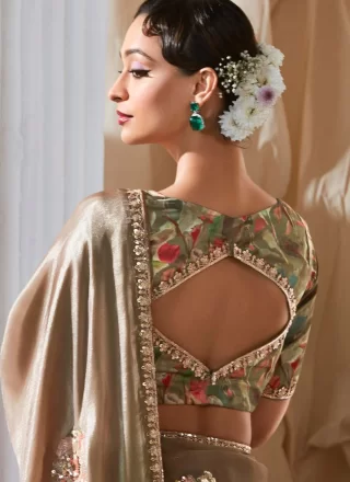 Brown Embroidered, Sequins and Zari Work Fancy Fabric Trendy Saree