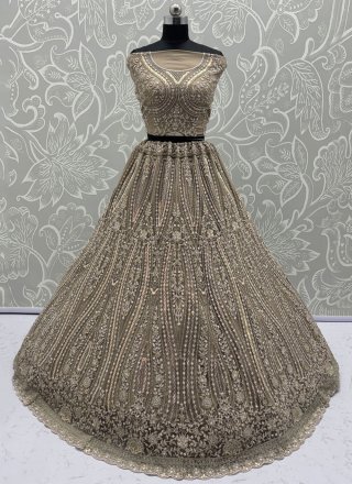 Brown Net A - Line Lehenga Choli