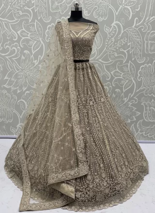 Brown Net A - Line Lehenga Choli