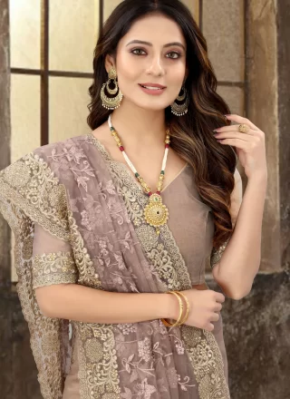 Brown Net Embroidered, Resham, Stone and Zari Work Trendy Saree