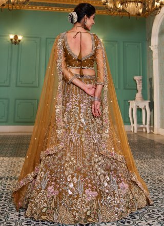 Brown Net Embroidered, Sequins, Stone, Thread and Zari Work Lehenga Choli for Women
