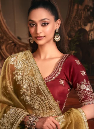 Brown Organza Traditional Saree with Patch Border, Cut, Embroidered, Sequins and Zari Work