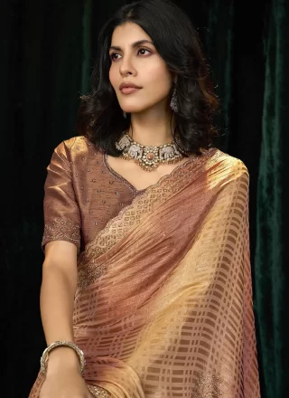 Brown Silk Beads, Patch Border and Thread Work Designer Sari