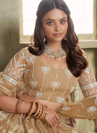 Classical Khaki Net A - Line Lehenga Choli
