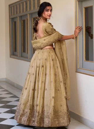 Crush Lehenga Choli with Embroidered and Zari Work