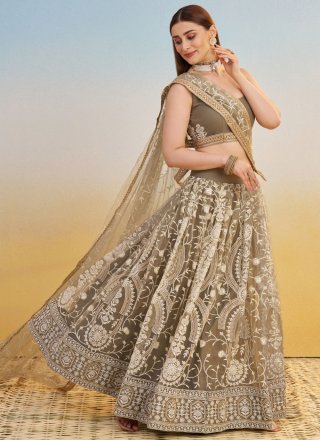 Embroidered and Thread Work Net A - Line Lehenga Choli In Beige and Brown