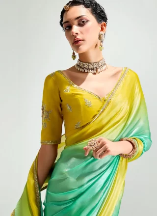 Green Patch Border, Embroidered and Zari Work Organza Shaded Saree