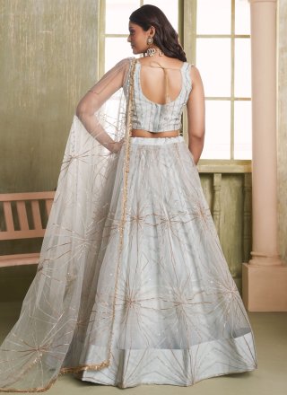 Grey Net A - Line Lehenga Choli