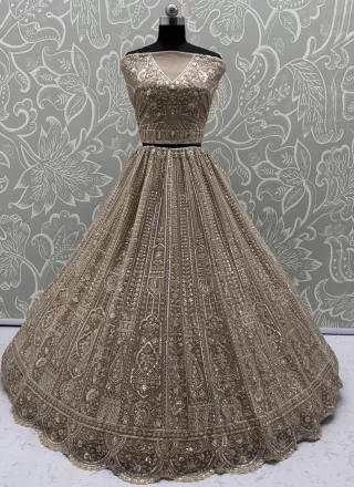 Net Lehenga Choli In Brown