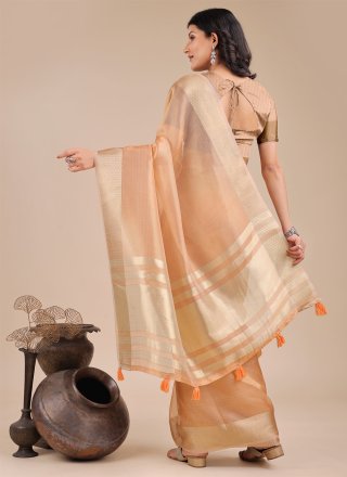 Orange Organza Contemporary Saree