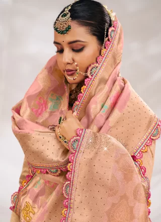 Pink Silk Fancy Work Traditional Saree